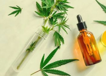 Empresa norte-americana fecha parceria com Iquego para distribuição de medicamentos à base de cannabis, pelo SUS