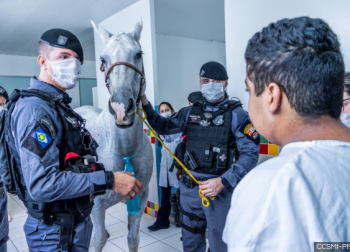 Cavalaria da PMMT realiza visita surpresa para pacientes do Hospital de Câncer de Cuiabá