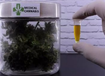 CAMINHO SEM VOLTA: Vendas de produtos à base de cannabis cresce 342,3% nas farmácias