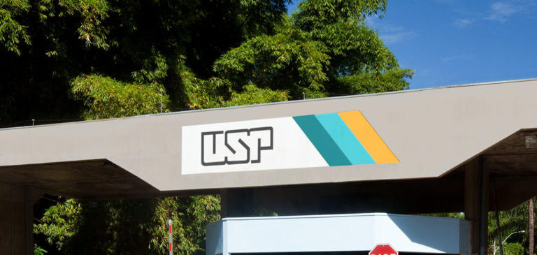 USP oferece 2 mil vagas para curso gratuito a distância; saiba tudo