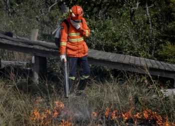  Corpo de Bombeiros alerta população para não fazer uso do fogo: “vamos juntos evitar grandes incêndios”